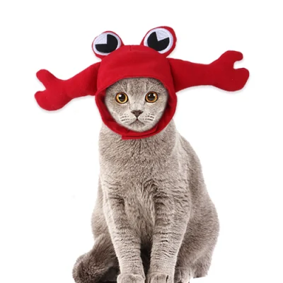 Mode hiver doux chaud animal de compagnie chat chien chapeau mignon crabe grenouille couvre-chef pour animaux de compagnie vêtements pour animaux de compagnie produits